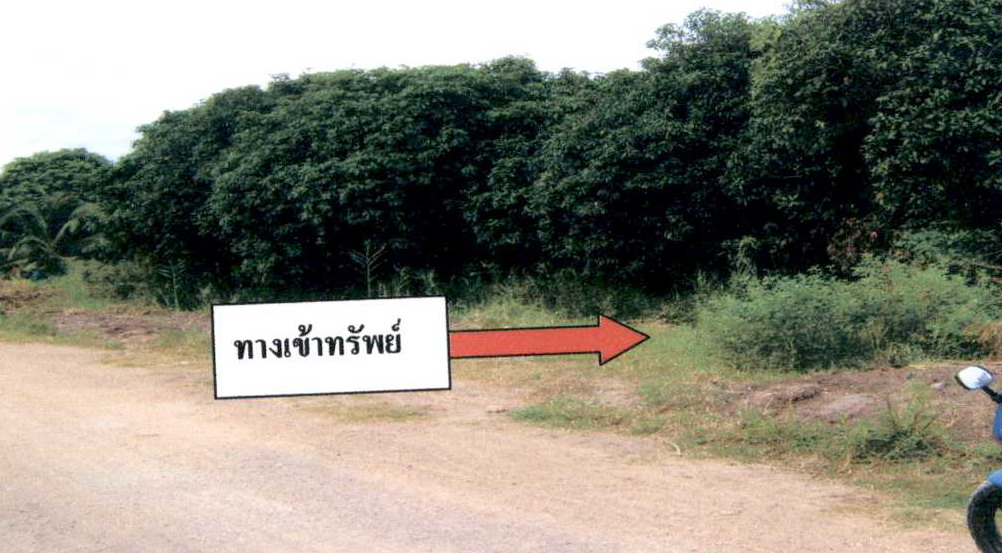 รูปที่ดินว่างเปล่า พระยาบันลือ ลาดบัวหลวง พระนครศรีอยุธยา