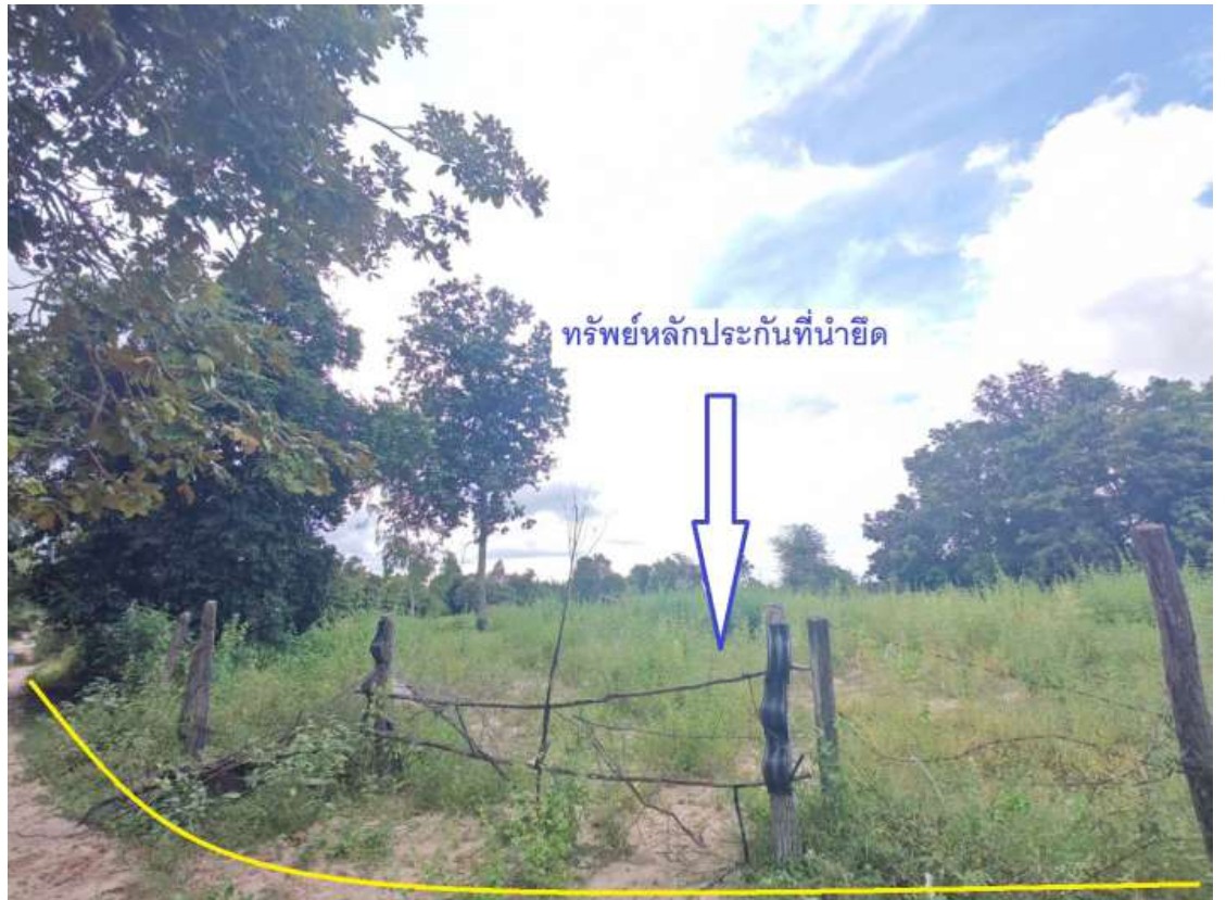 รูปที่ดินว่างเปล่า น้ำรึม เมืองตาก ตาก