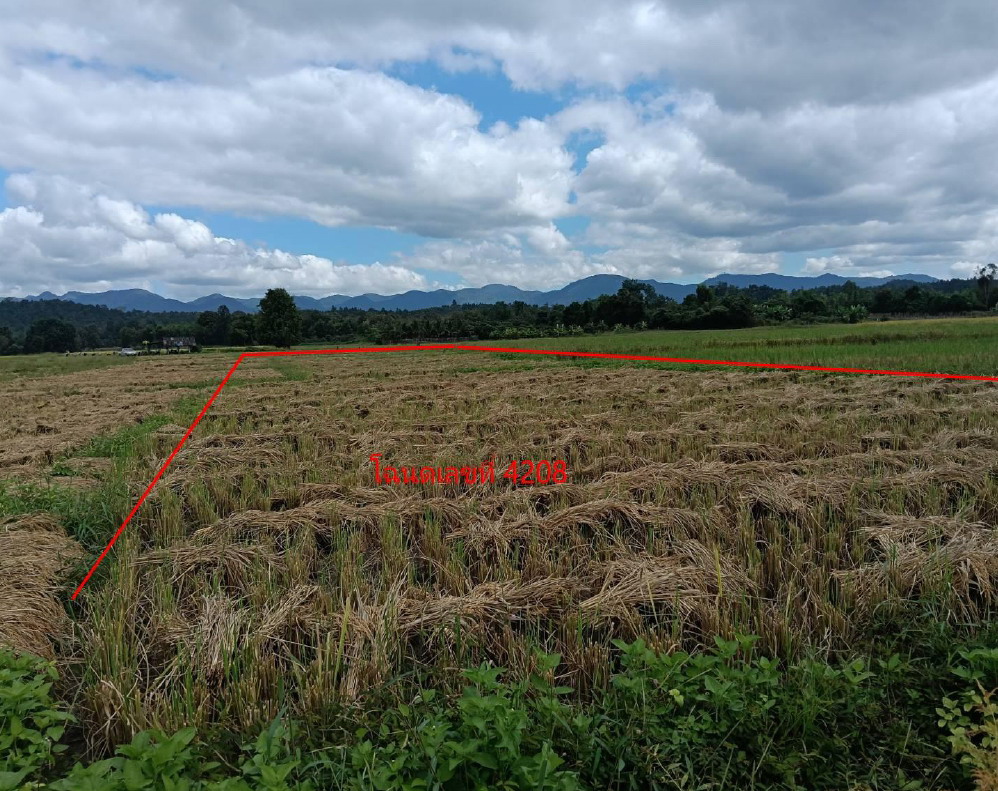 รูปที่ดินว่างเปล่า โปงทุ่ง ดอยเต่า เชียงใหม่