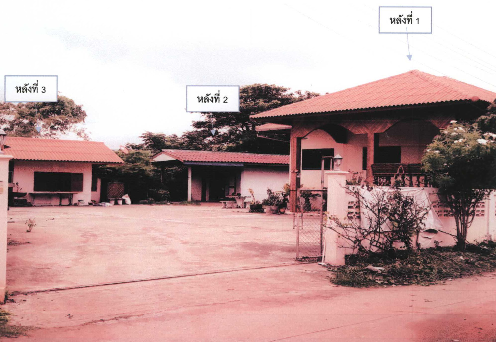 รูปที่ดินพร้อมสิ่งปลูกสร้าง บ้านมาง เชียงม่วน พะเยา