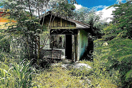 รูปสิ่งปลูกสร้าง ยางราก โคกเจริญ ลพบุรี