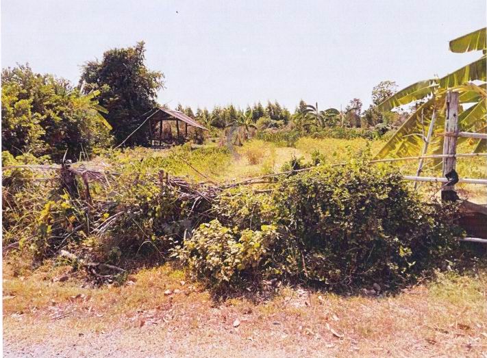 รูปที่ดินว่างเปล่า บ้านลาน บ้านไผ่ ขอนแก่น