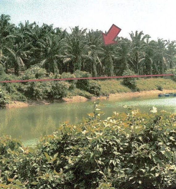 รูปที่ดินว่างเปล่า กะเปอร์ กะเปอร์ ระนอง