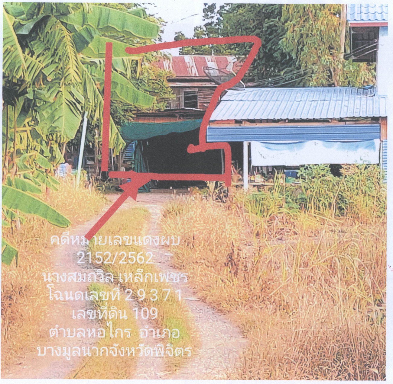 รูปที่ดินพร้อมสิ่งปลูกสร้าง หอไกร บางมูลนาก พิจิตร