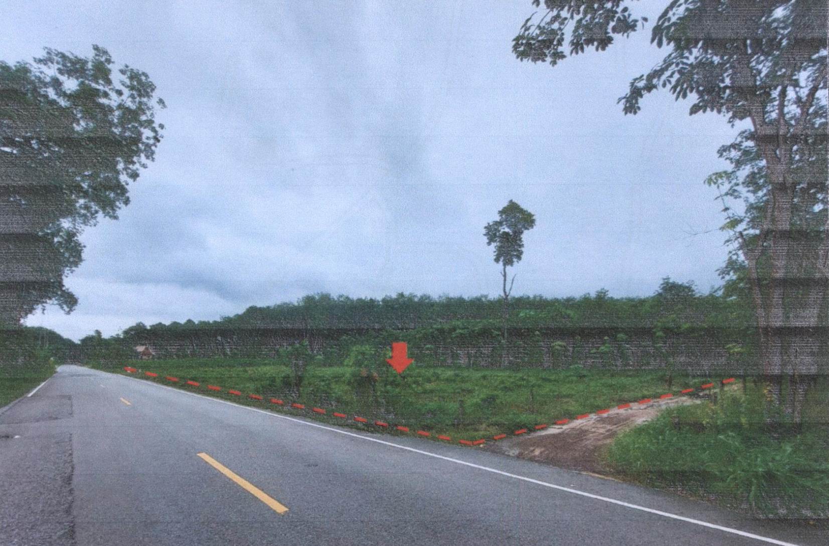 รูปที่ดินว่างเปล่า พุ่มแก นาแก นครพนม