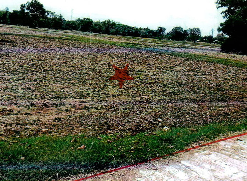 รูปที่ดินว่างเปล่า ตั้งใจ เมืองสุรินทร์ สุรินทร์
