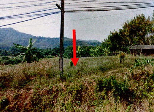 รูปที่ดินว่างเปล่า ละอุ่นใต้ ละอุ่น ระนอง