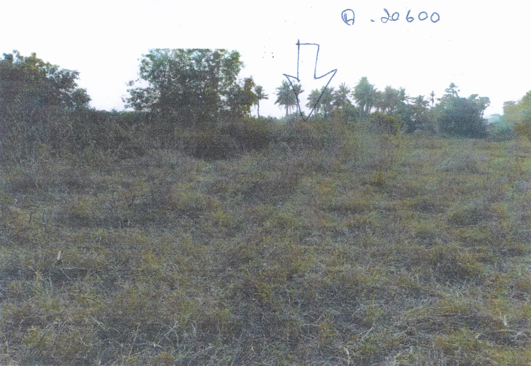 รูปที่ดินว่างเปล่า เวียงคำ กุมภวาปี อุดรธานี
