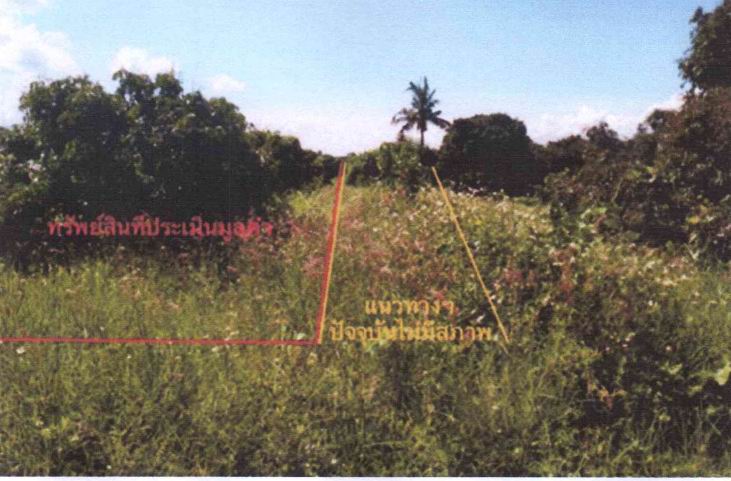 รูปที่ดินว่างเปล่า ดอยเต่า ดอยเต่า เชียงใหม่