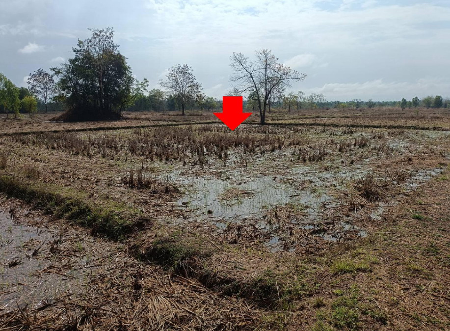 รูปที่ดินว่างเปล่า สามัคคีพัฒนา อากาศอำนวย สกลนคร