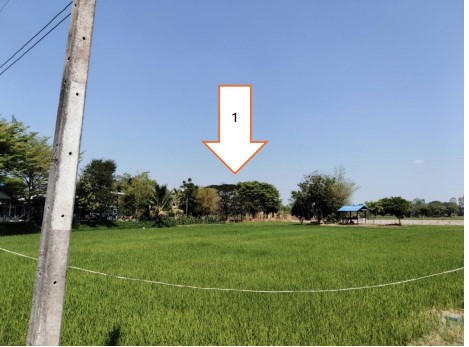 รูปที่ดินว่างเปล่า ทุ่งมน คำเขื่อนแก้ว ยโสธร