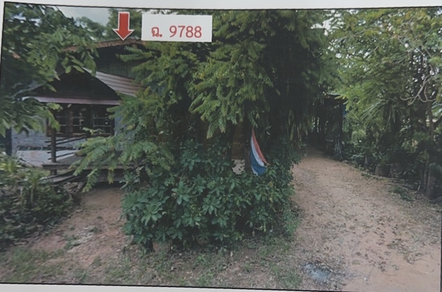 รูปที่ดินพร้อมสิ่งปลูกสร้าง โดมประดิษฐ์ น้ำยืน อุบลราชธานี
