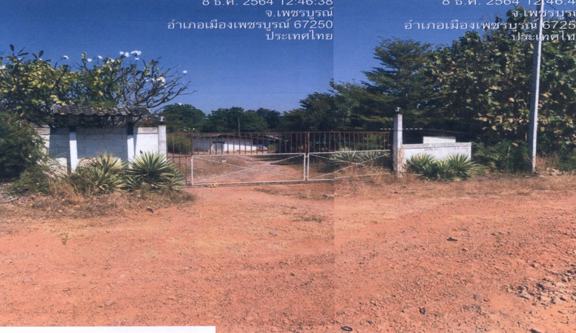 รูปที่ดินพร้อมสิ่งปลูกสร้าง นางั่ว เมืองเพชรบูรณ์ เพชรบูรณ์