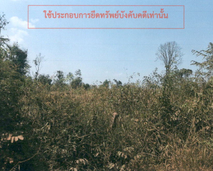 รูปที่ดินว่างเปล่า ศรีสมเด็จ สมเด็จ กาฬสินธุ์