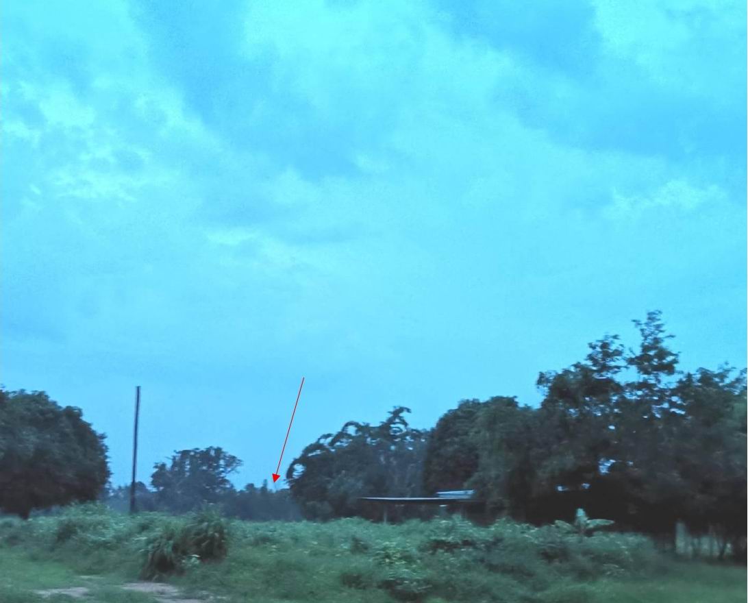 รูปที่ดินว่างเปล่า หนองกราด ด่านขุนทด นครราชสีมา