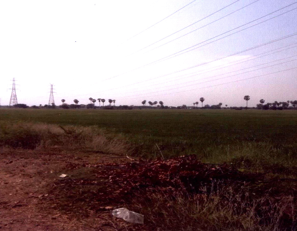รูปที่ดินว่างเปล่า หนองขาว ท่าม่วง กาญจนบุรี