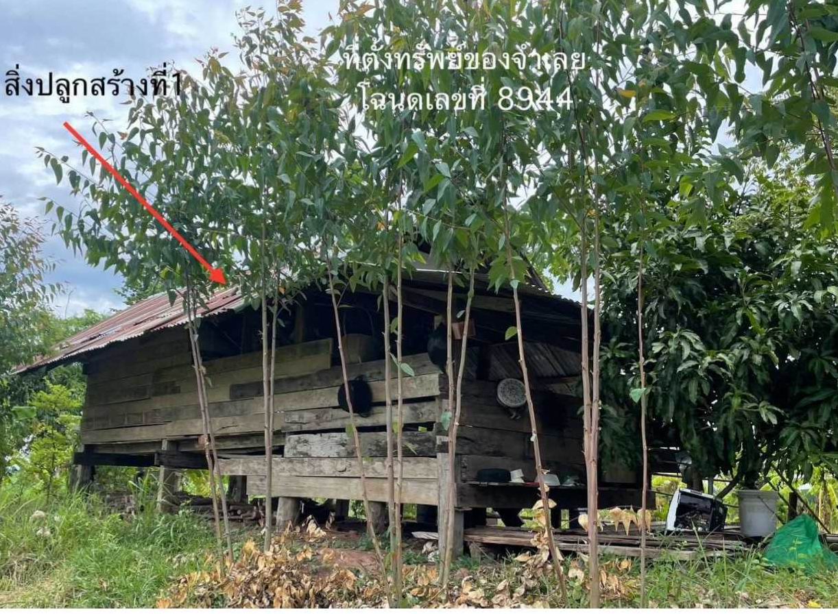 รูปที่ดินพร้อมสิ่งปลูกสร้าง นากอก ศรีบุญเรือง หนองบัวลำภู