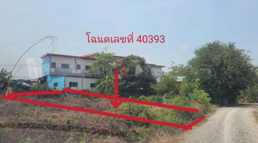 รูปที่ดินว่างเปล่า มดแดง ศรีประจันต์ สุพรรณบุรี