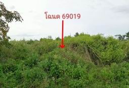 รูปที่ดินว่างเปล่า ลำคอหงษ์ โนนสูง นครราชสีมา