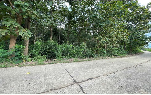 รูปที่ดินว่างเปล่า หนองหญ้าลาด กันทรลักษ์ ศรีสะเกษ