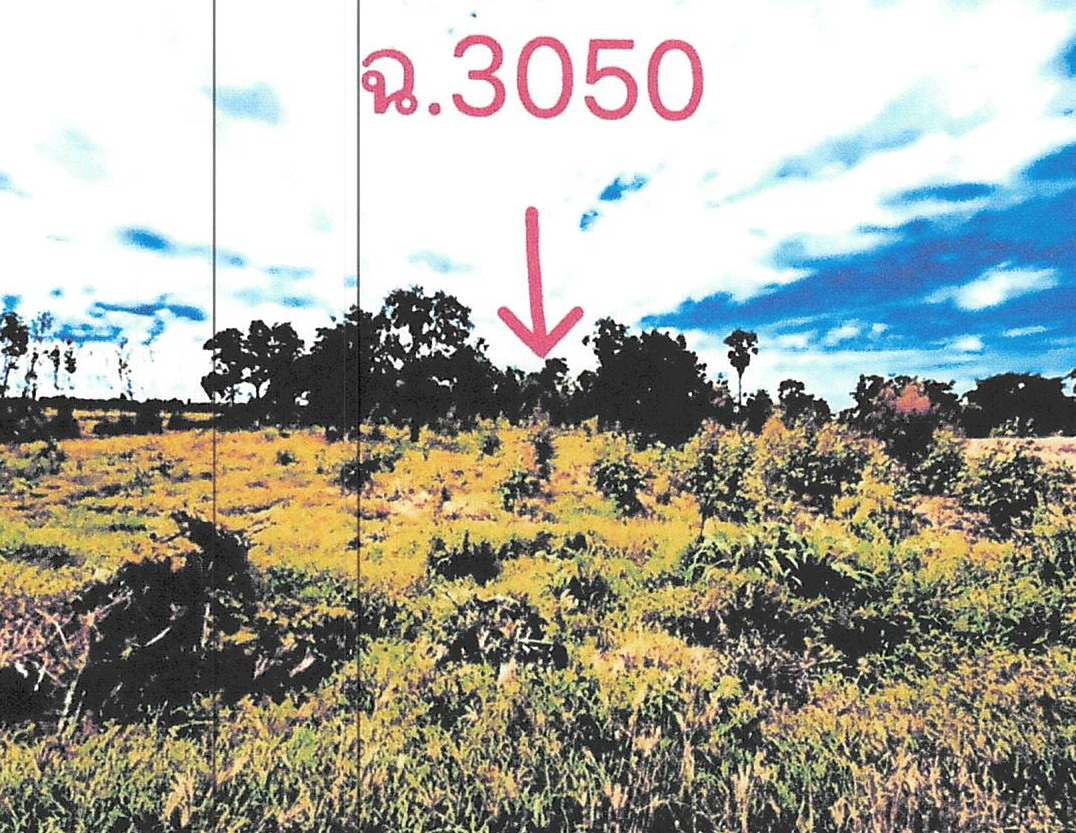 รูปที่ดินว่างเปล่า หนองขุ่น วัดสิงห์ ชัยนาท