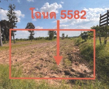 รูปที่ดินว่างเปล่า หัวนาคำ ศรีธาตุ อุดรธานี