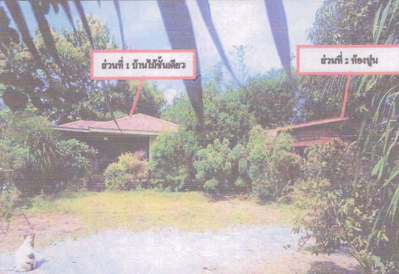 รูปที่ดินพร้อมสิ่งปลูกสร้าง บ้านขาม จัตุรัส ชัยภูมิ