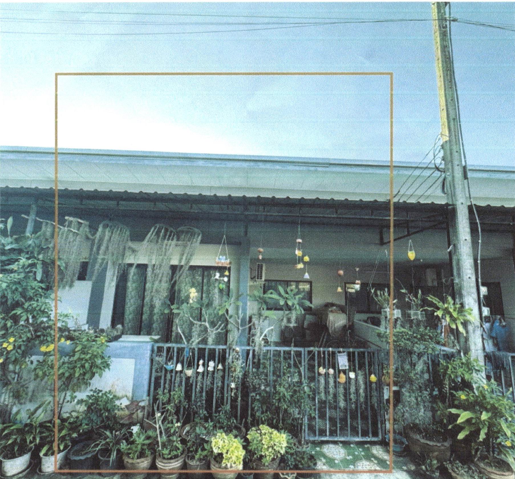 รูปที่ดินพร้อมสิ่งปลูกสร้าง นาทุ่ง เมืองชุมพร ชุมพร