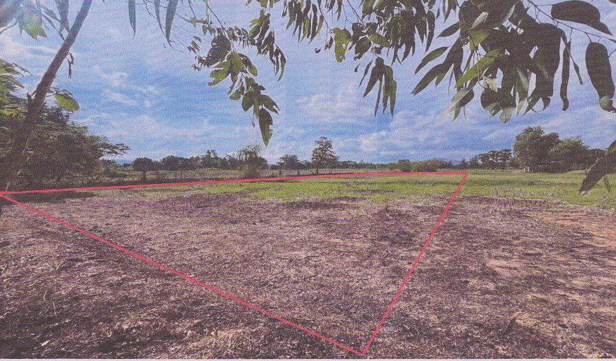 รูปที่ดินว่างเปล่า หนองเอี่ยน คำชะอี มุกดาหาร