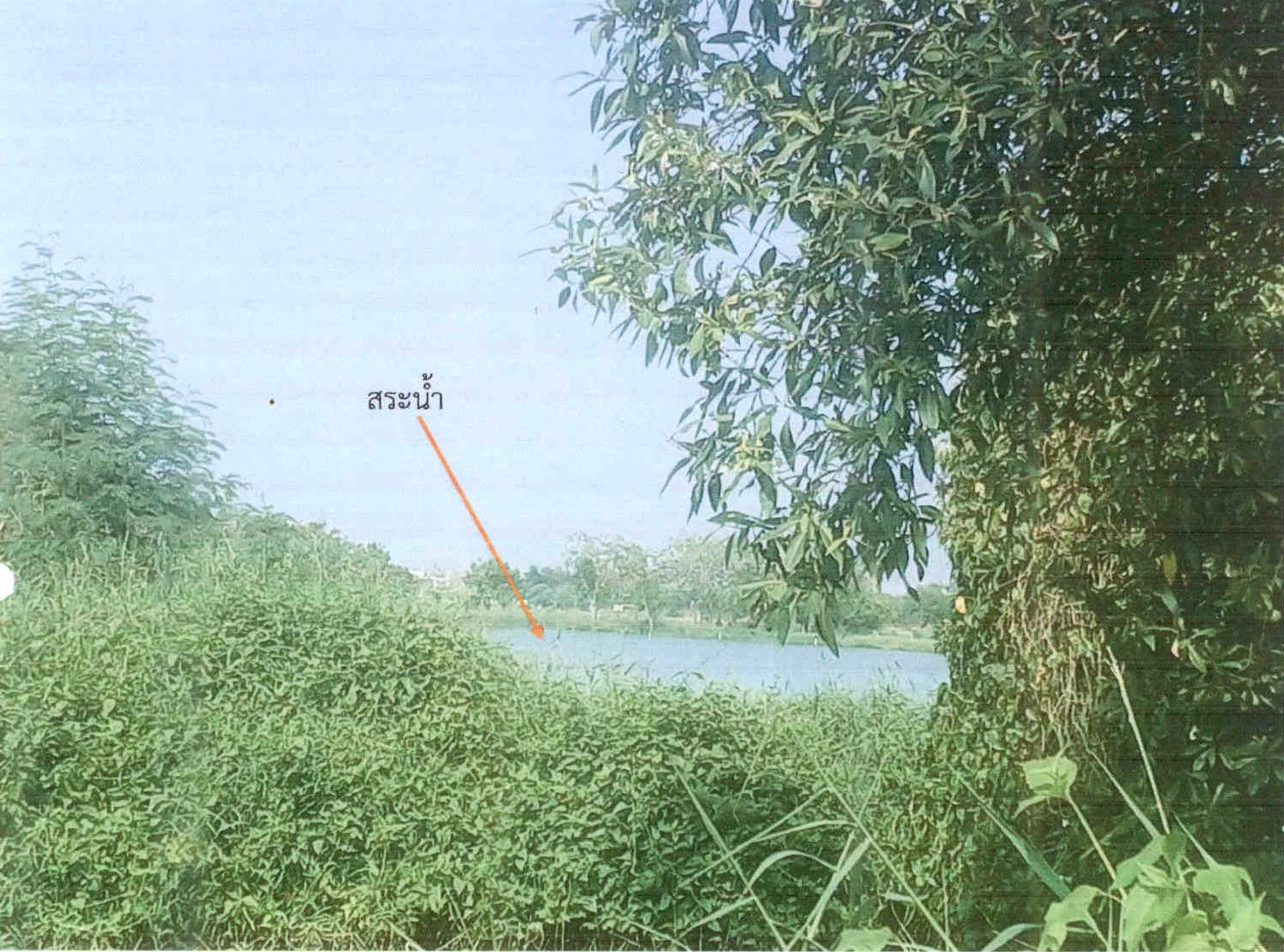 รูปที่ดินว่างเปล่า แสมดำ บางขุนเทียน กรุงเทพมหานคร