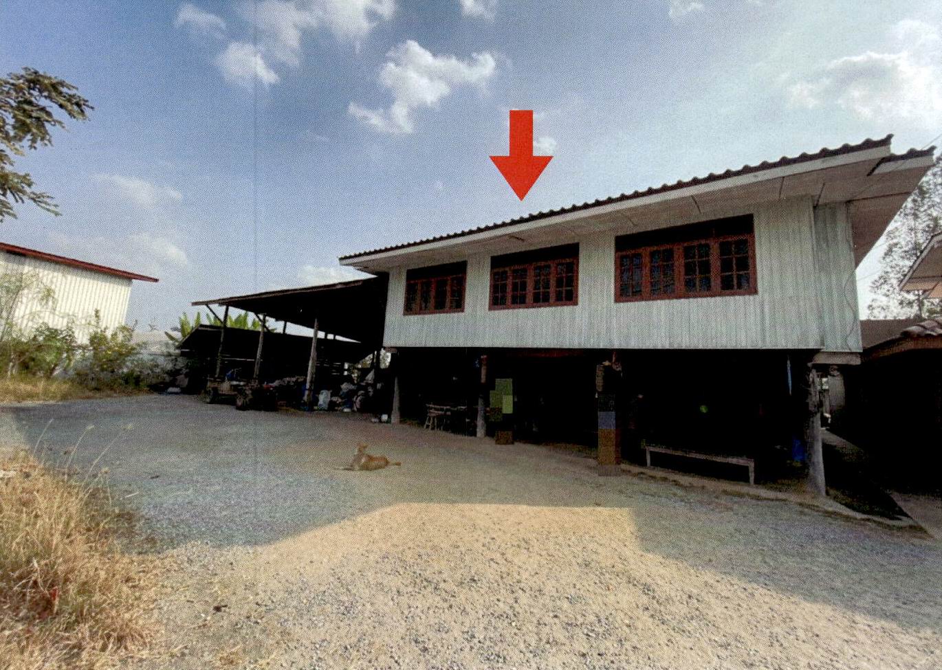 รูปที่ดินว่างเปล่า หนองกระทุ่ม เดิมบางนางบวช สุพรรณบุรี