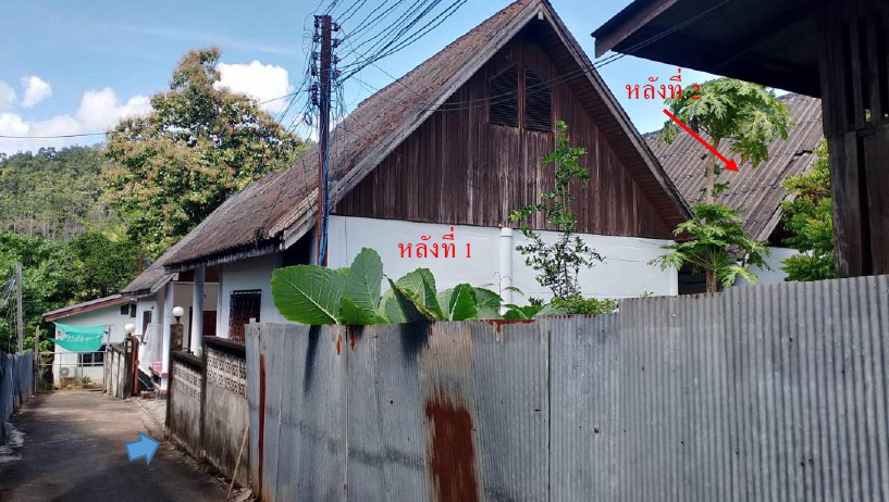 รูปที่ดินพร้อมสิ่งปลูกสร้าง ปางหมู เมืองแม่ฮ่องสอน แม่ฮ่องสอน