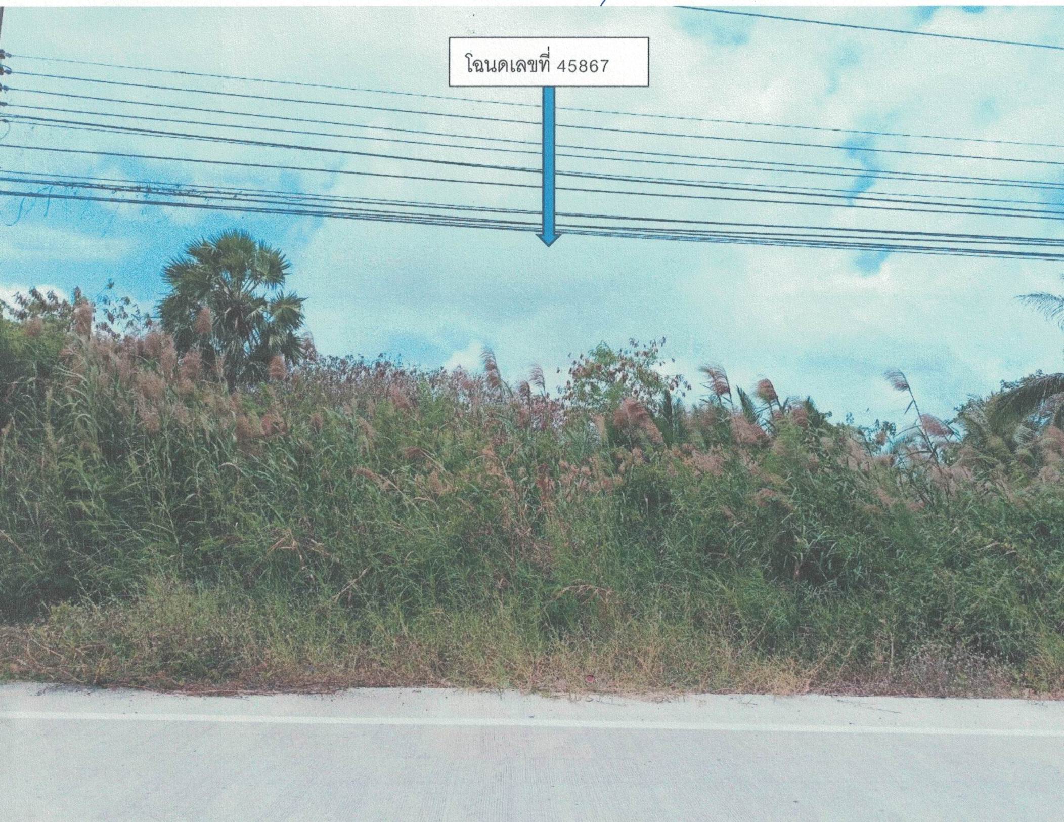 รูปที่ดินว่างเปล่า ท่าบอน ระโนด สงขลา