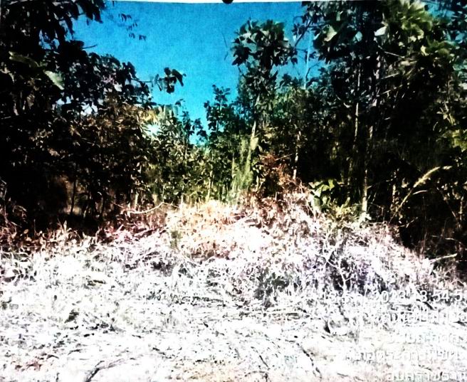 รูปที่ดินว่างเปล่า กุศกร ตระการพืชผล อุบลราชธานี