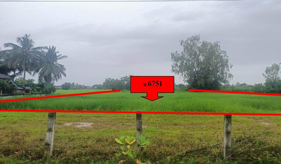 รูปที่ดินว่างเปล่า สำโรงพลัน ไพรบึง ศรีสะเกษ