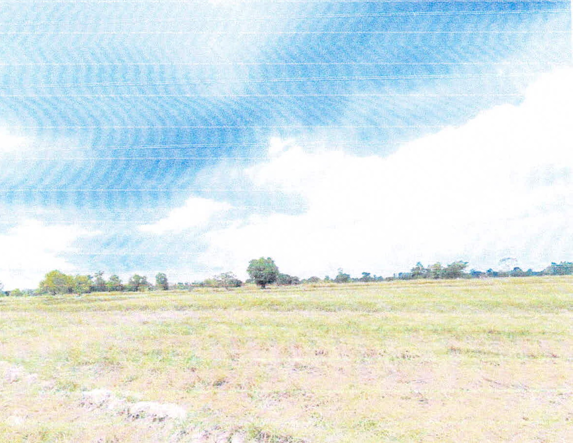 รูปที่ดินว่างเปล่า หนองไฮ เมืองศรีสะเกษ ศรีสะเกษ
