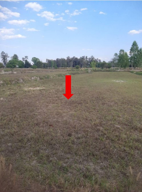 รูปที่ดินว่างเปล่า ผาเสวย สมเด็จ กาฬสินธุ์