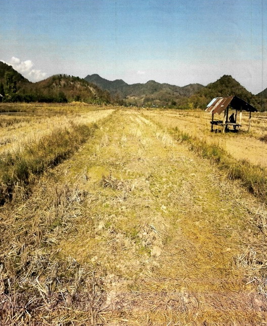 รูปที่ดินว่างเปล่า หงส์หิน จุน พะเยา