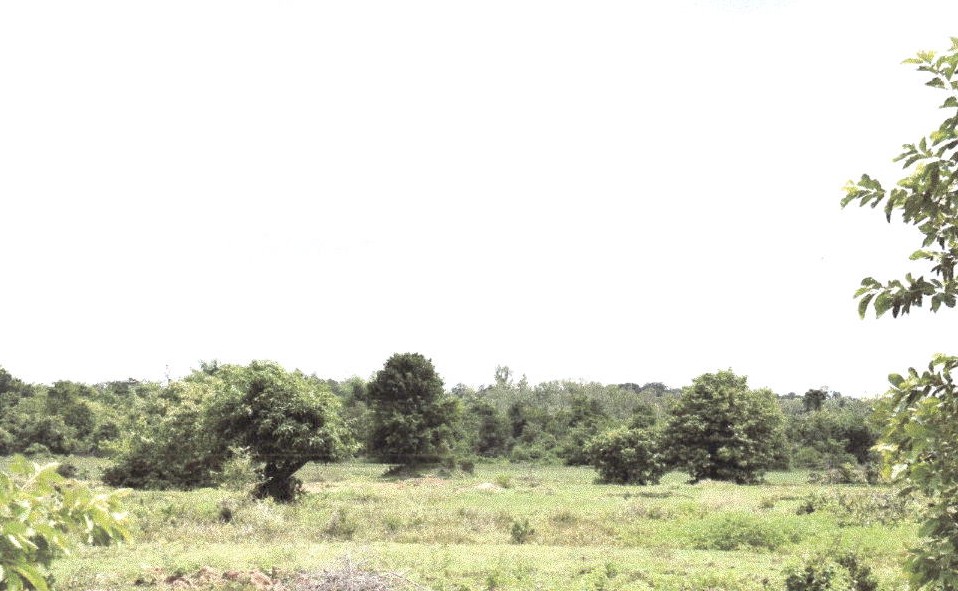 รูปที่ดินว่างเปล่า เหมืองหม้อ เมืองแพร่ แพร่