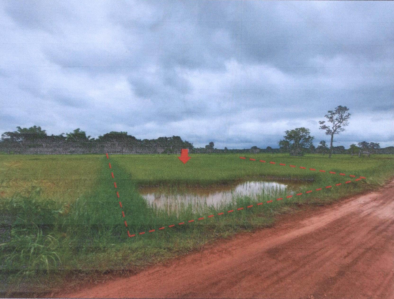 รูปที่ดินว่างเปล่า พุ่มแก นาแก นครพนม