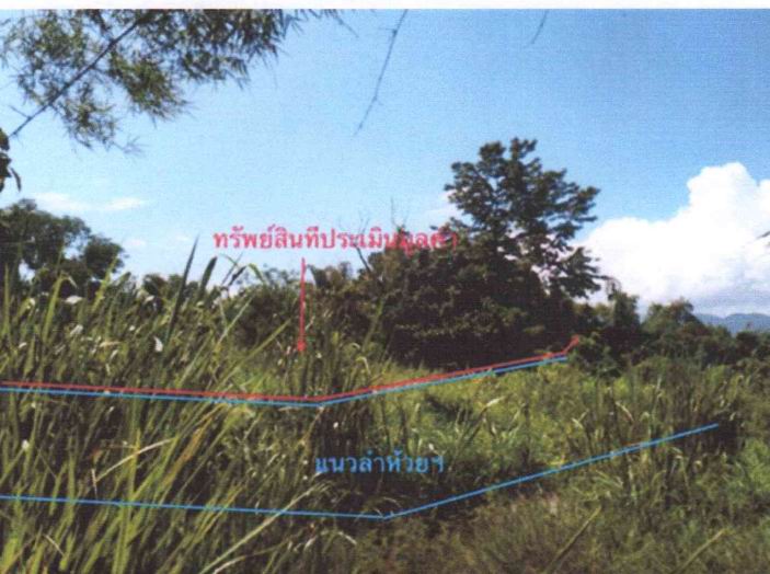 รูปที่ดินว่างเปล่า ดอยเต่า ดอยเต่า เชียงใหม่