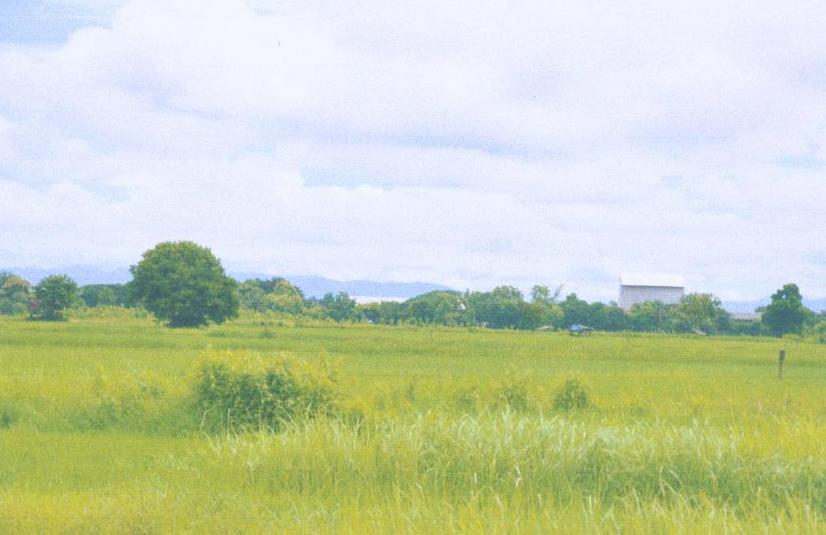 รูปที่ดินว่างเปล่า ทุ่งกวาว เมืองแพร่ แพร่