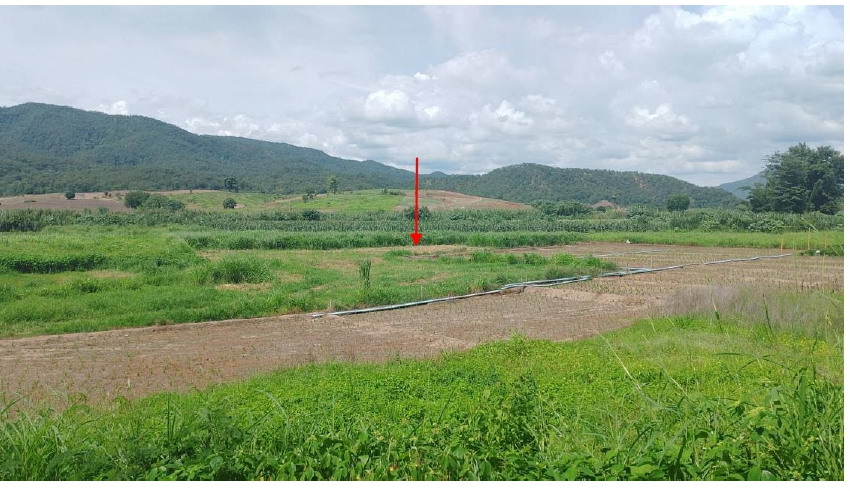 รูปที่ดินว่างเปล่า เมืองแปง ปาย แม่ฮ่องสอน
