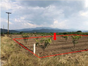 รูปที่ดินว่างเปล่า ท่าตอน แม่อาย เชียงใหม่