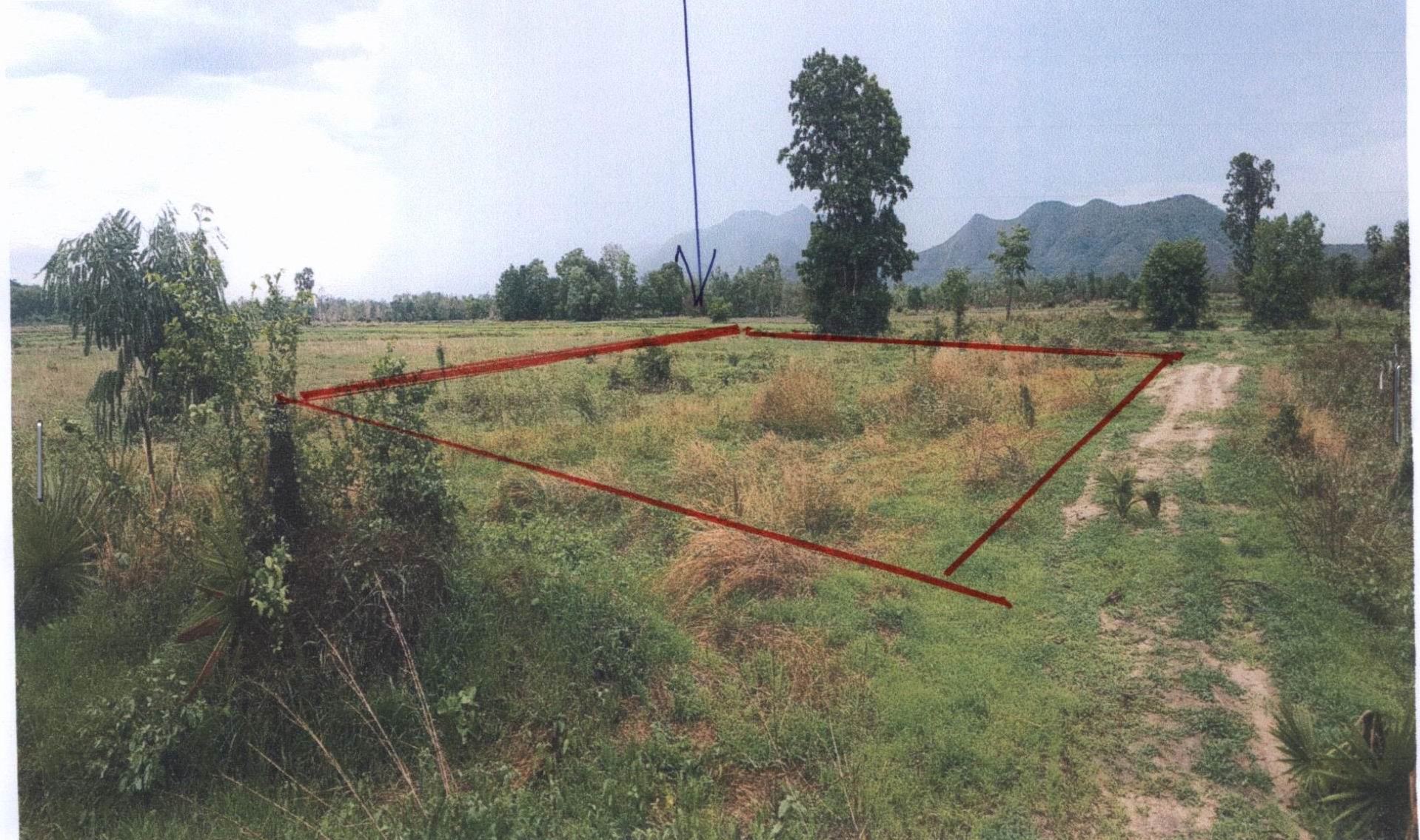รูปที่ดินว่างเปล่า หนองยายดา ทัพทัน อุทัยธานี