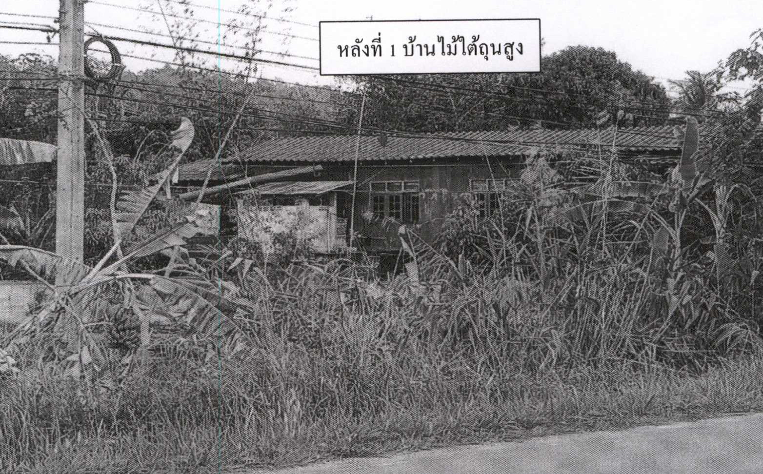รูปที่ดินพร้อมสิ่งปลูกสร้าง เชียงเคี่ยน เทิง เชียงราย