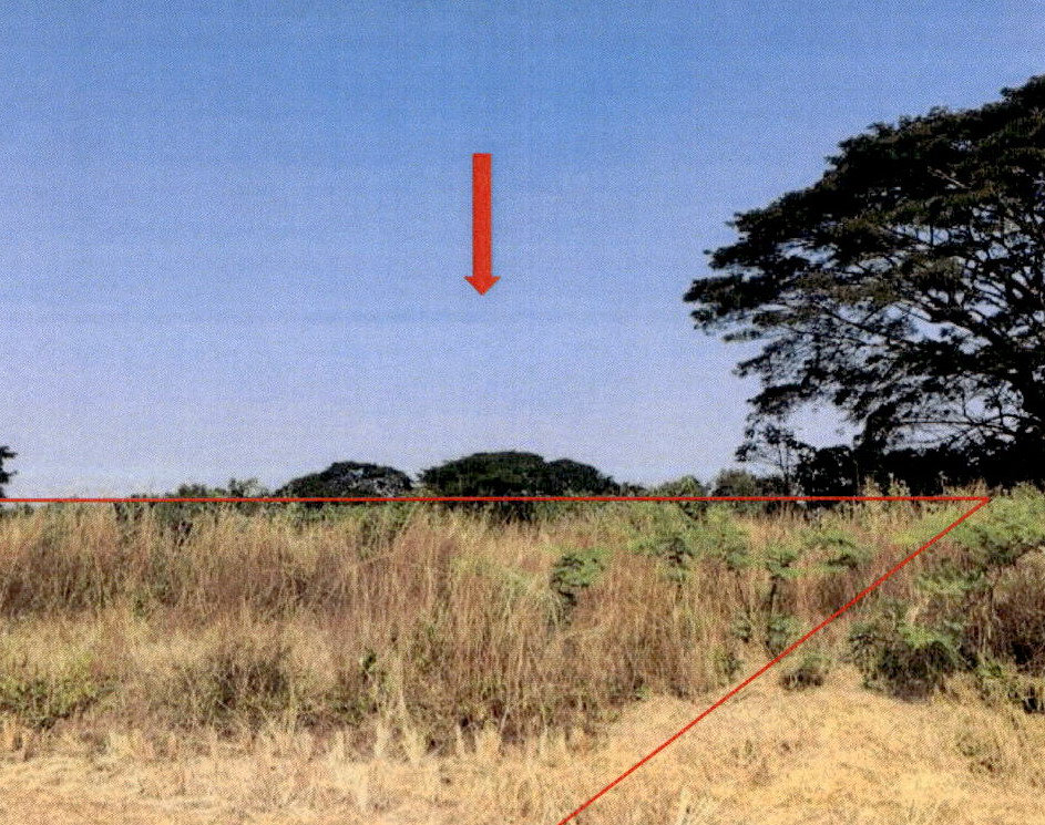 รูปที่ดินว่างเปล่า หัวเสือ แม่ทะ ลำปาง