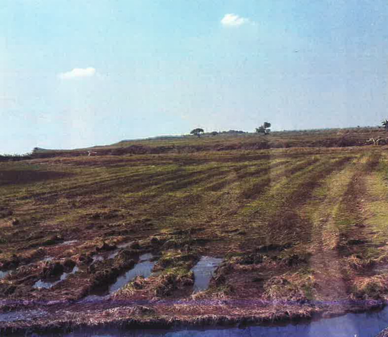 รูปที่ดินว่างเปล่า ท่าทราย เมืองนครนายก นครนายก