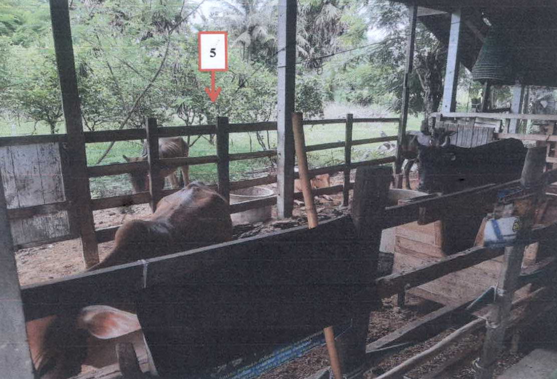 รูปที่ดินพร้อมสิ่งปลูกสร้าง ดอนยาง เมืองเพชรบุรี เพชรบุรี