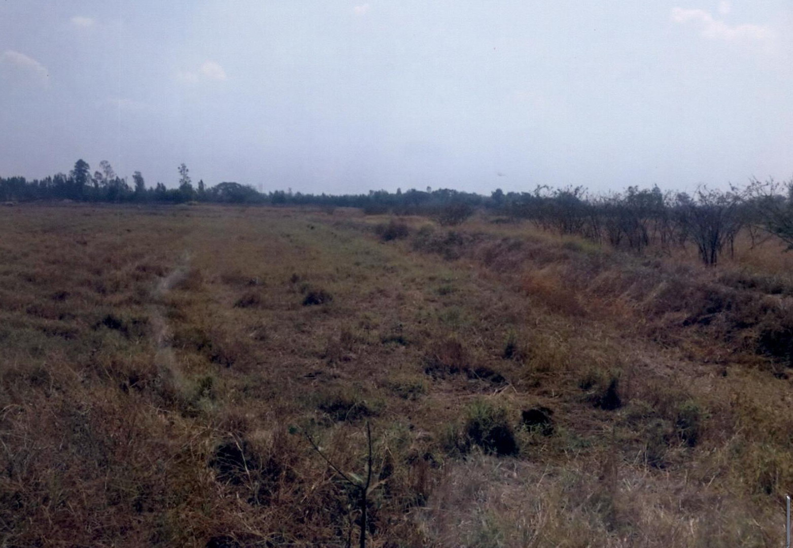 รูปที่ดินว่างเปล่า เมืองเพีย บ้านไผ่ ขอนแก่น